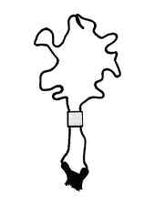 Lalique schöne Aréthuse